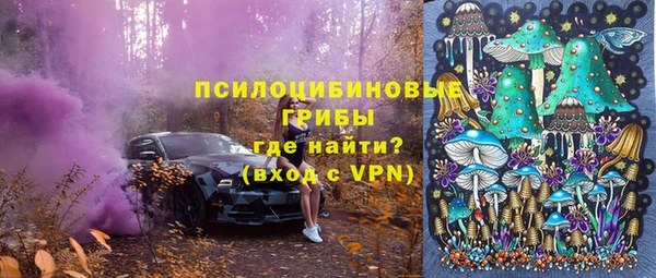 СК Алексеевка