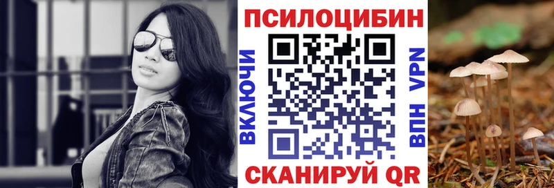 Псилоцибиновые грибы Psilocybe  Липки 